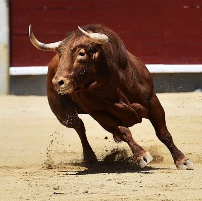 sonofsun1984's profile picture. 