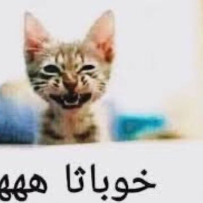 mmms1110's profile picture. وشوية شاهي📚