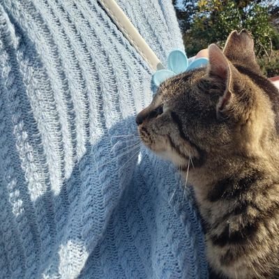 preernsees's profile picture. Seni inciten şeyi bırak 🦋