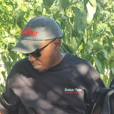 MkenyaMsomi's profile picture. EPM Architect (Jedox) & Financial Models 'Chef'