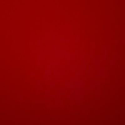 elhaye's profile picture. 