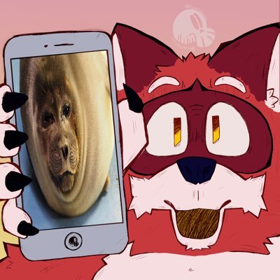 BlazeDaRaccoon's profile picture. idk what the fuck to put here