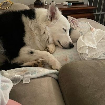 vxc1057014's profile picture. here for the news