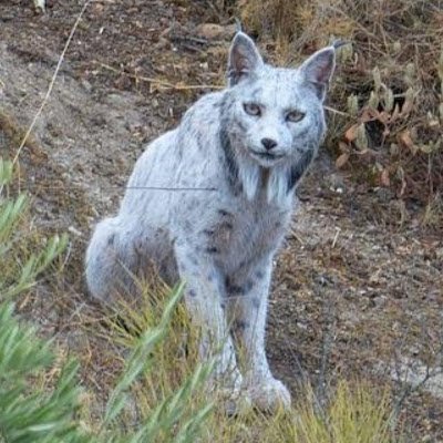 martha_dau93876's profile picture. 