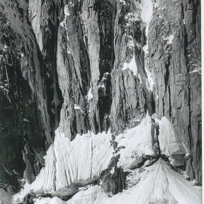 statonatura's profile picture. 