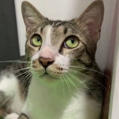 AnelKaa58216's profile picture. 