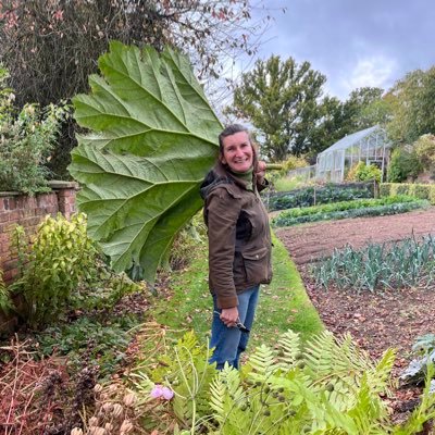 tamsinwesthorpe's profile picture. Director/gardener Stockton Bury Gardens, Herefordshire. RHS Judge, lecturer, author, podcaster and border terrier owner. My views are my own.