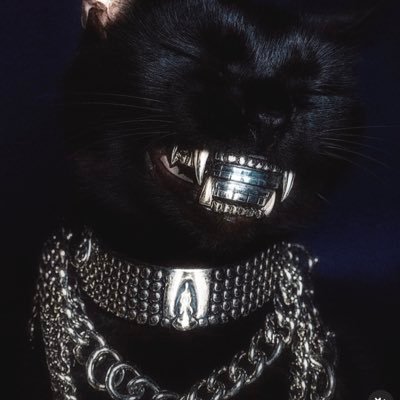 ZTeenaZ's profile picture. Oldest Vampire MomZ 🇩🇪 🇺🇸 FortNite Bot✨✨Use Code TINAZ in the FN item shop✨✨mature content/explicit language✨✨