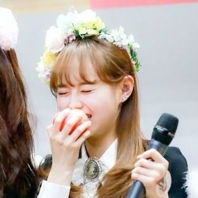 kkoti_tokki's profile picture. NJZ | LOOΠΔ | SHINee | AG! | BABYMETAL | Young Posse | NCT | Lady | #SIWON_OUT                     
@YoshJi4eva @BulimiaMetal