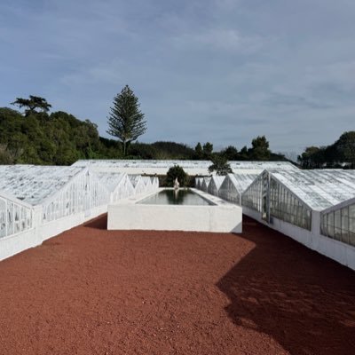 nicoroberti's profile picture. Un bon coup de dents bien placé vaut mieux qu'un compliment mal venu.