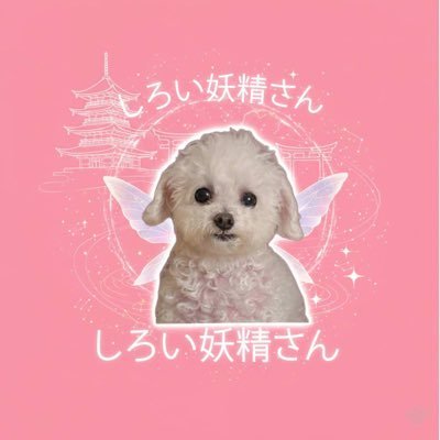 GRACE_Sol_CTO's profile picture. 