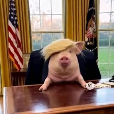 Road_trippn's profile picture. Proud Virginian! life is all about family & furbabys! Proud resister and fierce fighter against blatant racism! Vote Blue! Republicans do nothing for us!