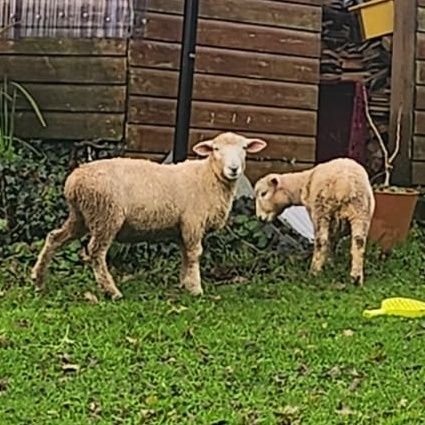 FredWinter68816's profile picture. 