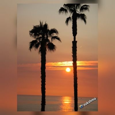 so0okshma's profile picture. ✦Spiritual🧘🏻‍♀✦Soulful💖✦Simple♻️✦Silent💫✦Vegan🌱✦✍️#poetry(#haiku/#tanka/mini)🔗 God shown prompts* via #WritingCommunity✦My📸/AI🎨;FairUse if others'✦✖DM🙏