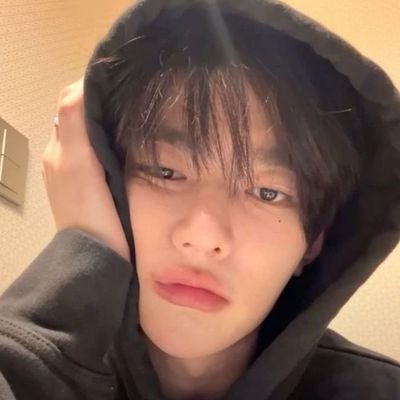 hoeinterpol's profile picture. 