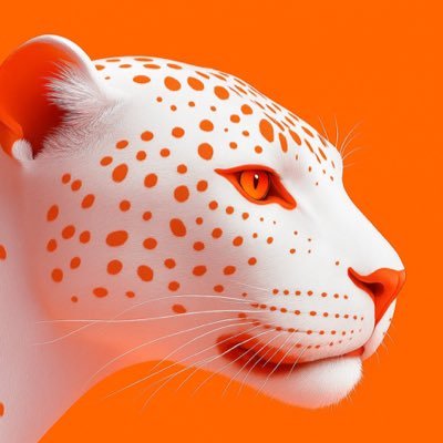 MisterNols1's profile picture. 