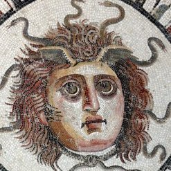 napgener's profile picture. it's OVER, bucko 🧸🎯