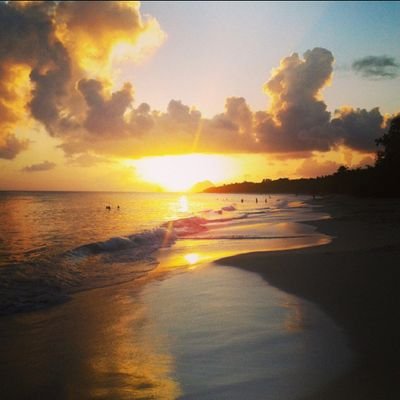 Lacreole_972's profile picture. 