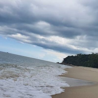 qmm117's profile picture. The HUMAN race. NoWars. Equality, Diversity, Antiracist. World PEACE. #CLIMATECRISIS