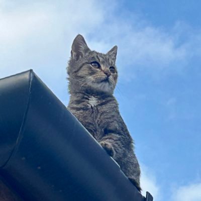 x_user8384's profile picture. barbiquahh