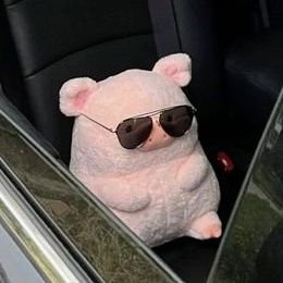 Moo_Ping_Ka's profile picture. 🇺🇸🇬🇧🏳️‍🌈  #SmileyofCharlotte Ი︵𐑼 🙂🐰 #อิงล็อต #englot 🐶🐰 
 🇹🇭👩🏽‍🤝‍👩🏼❤️ผมมีแฟนเป็นคนไทย