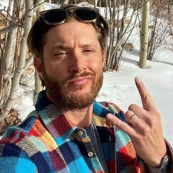 wllwpoet's profile picture. 