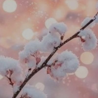 undiaalave87570's profile picture. 