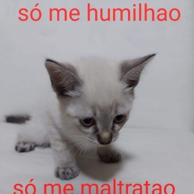 WillianGgzada's profile picture. Dedo no cu e gritaria