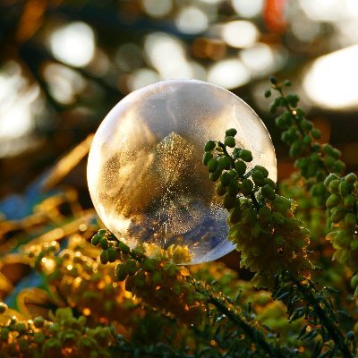 James_Akrill's profile picture. 