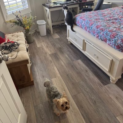 g_kowzan's profile picture. Married, two children,four grandchildren, solar powered home, two EV’s, five days a week gym training ,Licensed in 30 states property insurance 220.