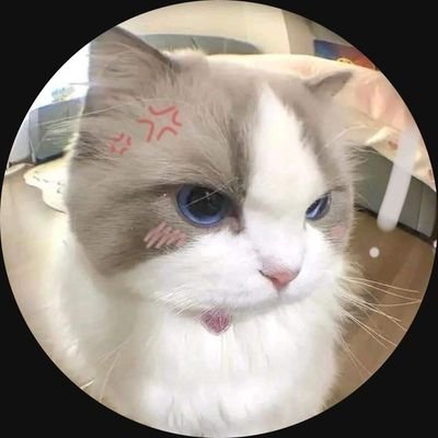 karyxsm's profile picture. @ShawnMendes 𝑴𝒆 𝒔𝒊𝒈𝒖𝒆 6/20/19🌹