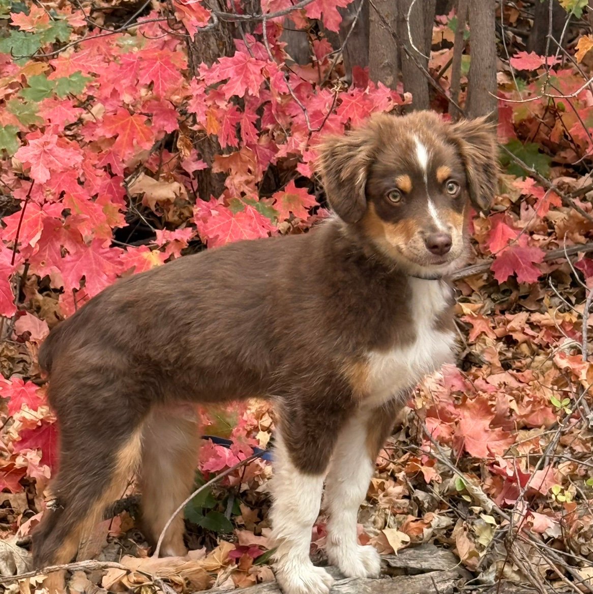 RandyLenzcrqk's profile picture. 