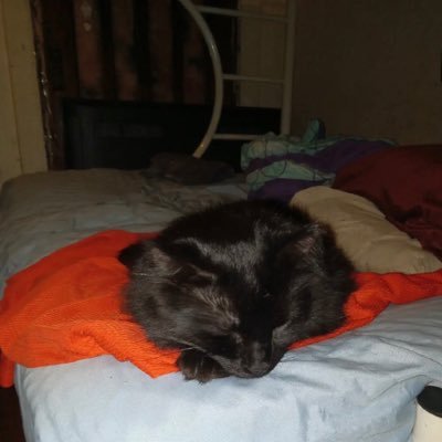 Garfield313438's profile picture. 💕🦋