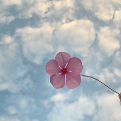 an_mt22's profile picture. 