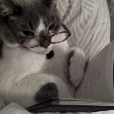 Rihririreads's profile picture. Reads to cope 🤓 Multistan 💫