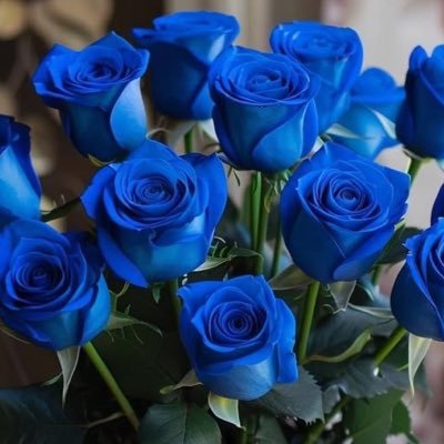 bahra_4's profile picture. فليكن أثرك في الحياة باقياً وأن رحلت افعل الخير مهما صغر حجمه فربما مكانته عند الله الجنة