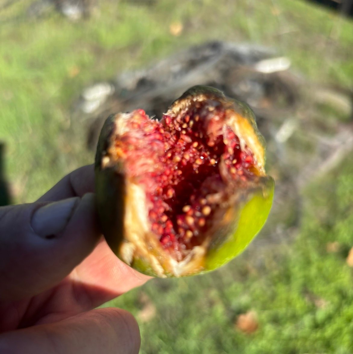 Randon2cq's profile picture. 