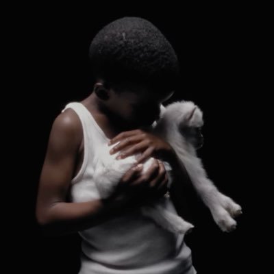 St_Metal911's profile picture. 