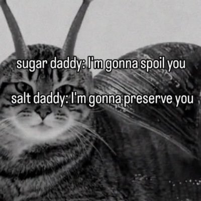 pipitcanpick's profile picture. im going to preserve you