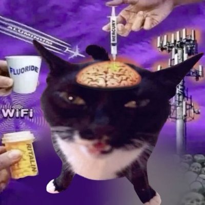 biroSkz's profile picture. A vida e trem bala parceiro