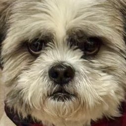 privatepoms's profile picture. 