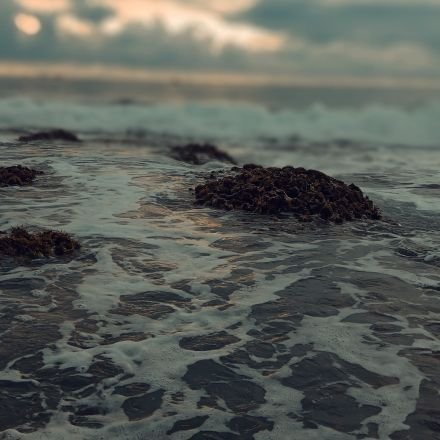 LatifLinggar's profile picture. 