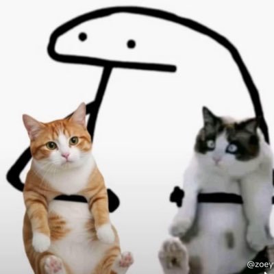 thirdframeIV's profile picture. 🐝