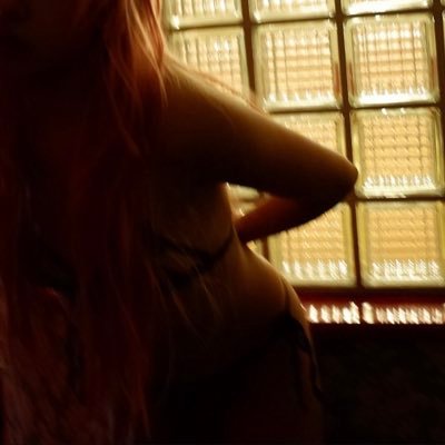 NO4RAUD's profile picture. catharsis