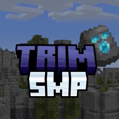 imisstrimsmpp's profile picture. i miss @trimsmp