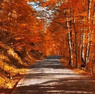 Georgegodson12's profile picture. I'm available for all bait related services 🏳️‍🌈🌈🌈