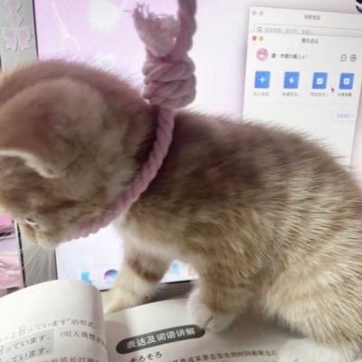 nawhgang's profile picture. 趣味