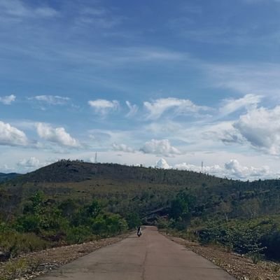 Mok173416637602's profile picture. 