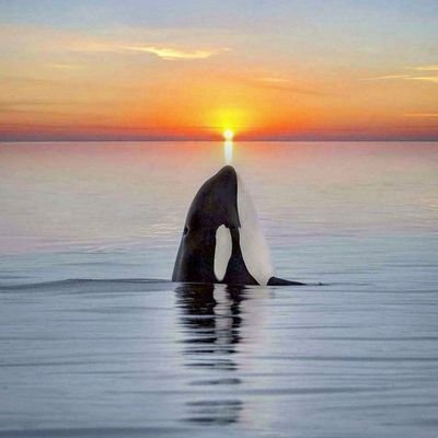 Rian1782's profile picture. 