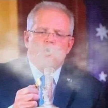 kali_nikta's profile picture. ᵢ⃟ₙ⃟. . I͓R͓L͓° ͓D͓E͓V͓ ᵢ⃟ₙ⃟